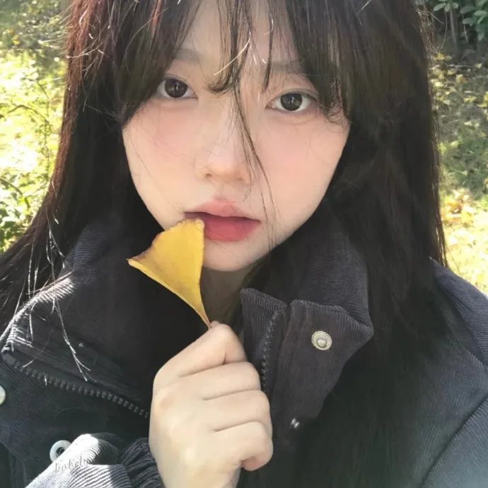 与你徒然